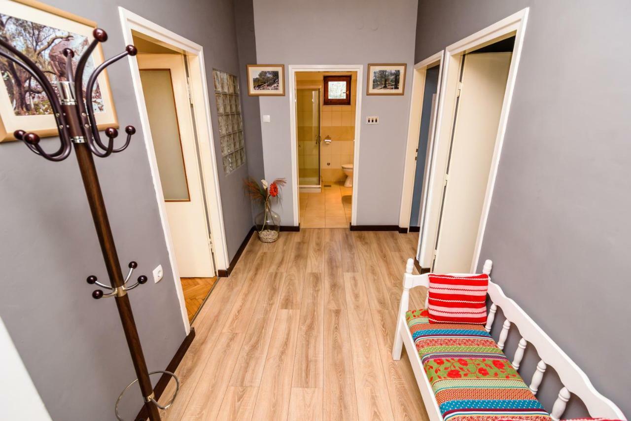 Apartment Petar زادار المظهر الخارجي الصورة